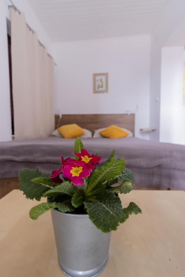 Hill Apartman - Maksimir Rebro Záhřeb Exteriér fotografie